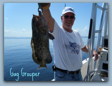 WANT TO CATCH GROUPER? FAT CAT FISHING CHARTERS CAN HELP!